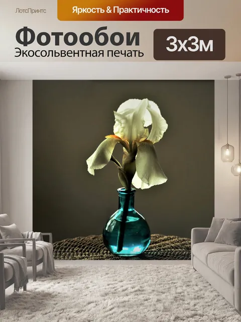 Фотообои Белый ирис в тени