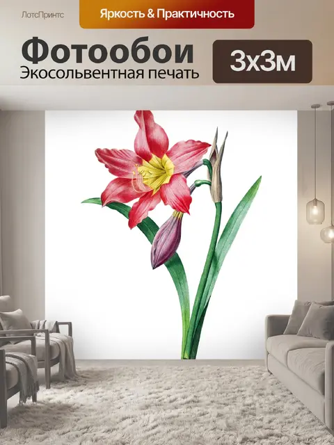 Фотообои Винтажный клипарт цветок лилии
