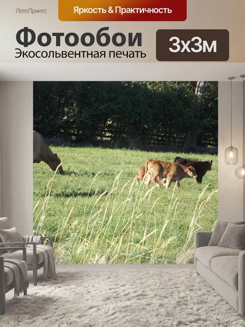 Фотообои Коровы в поле