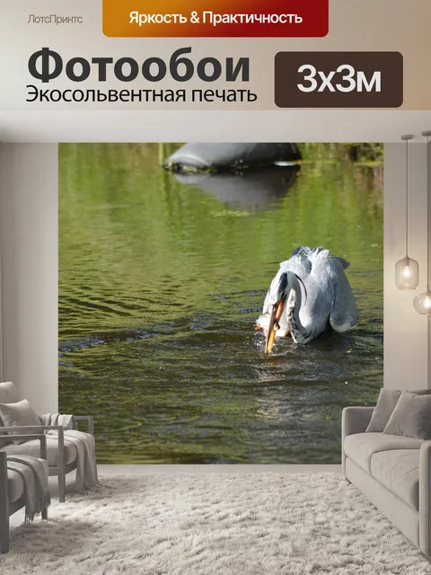Фотообои Поймать рыбу 7