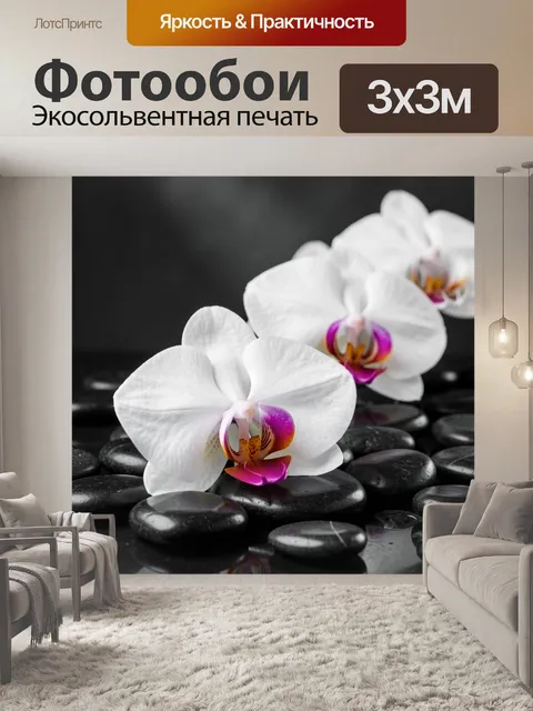 Фотообои Белые орхидеи на черных камнях