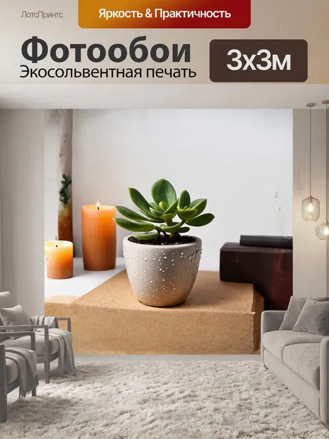 Фотообои крассула яйцевидная, растущая в стильном керамическом горшке с уникальным дизайном, вдохновляет…