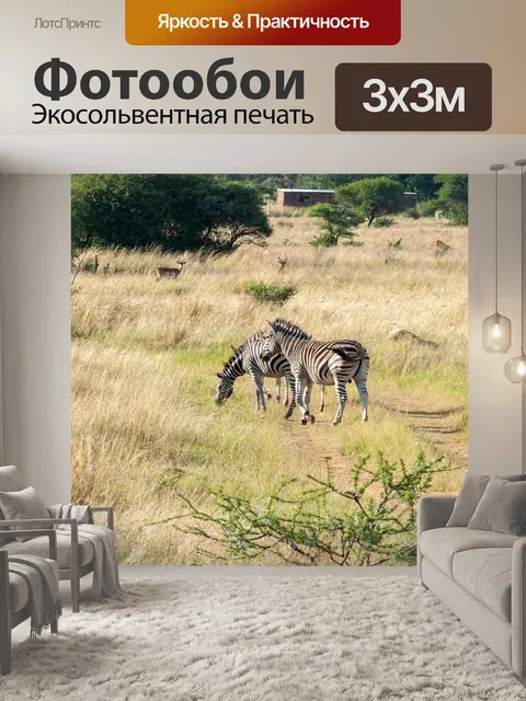 Фотообои Зебры