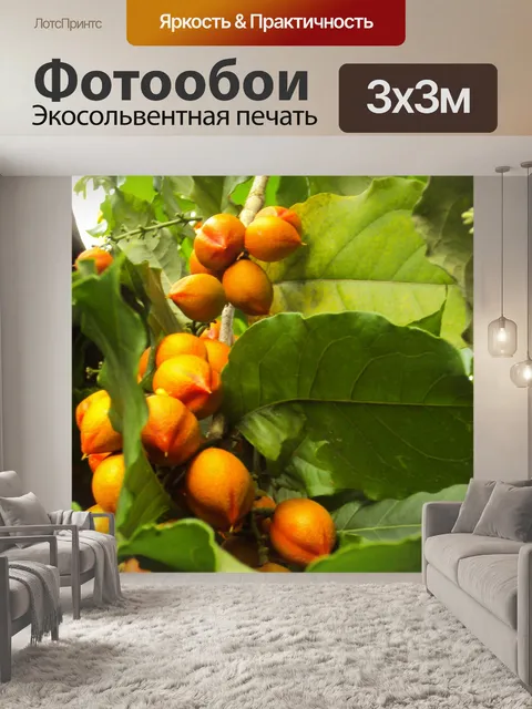Фотообои Дубай сливы