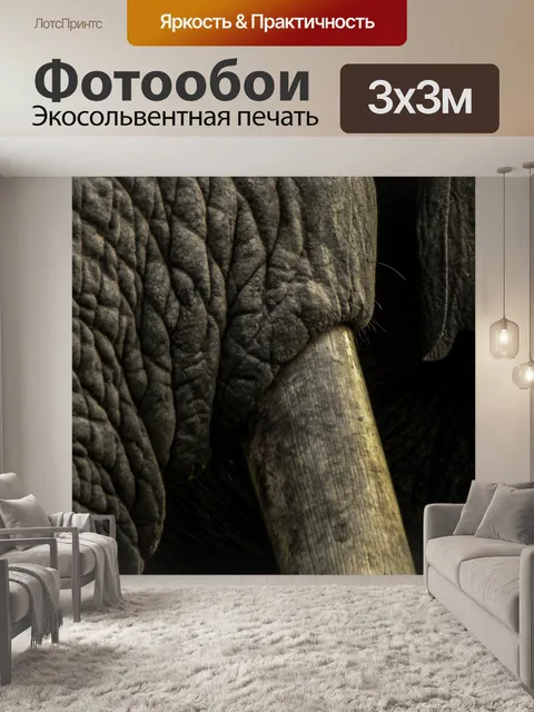 Фотообои Слон