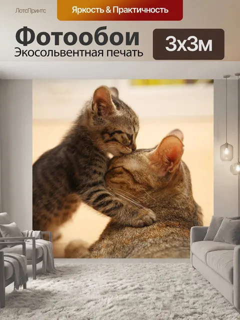Фотообои Кошки