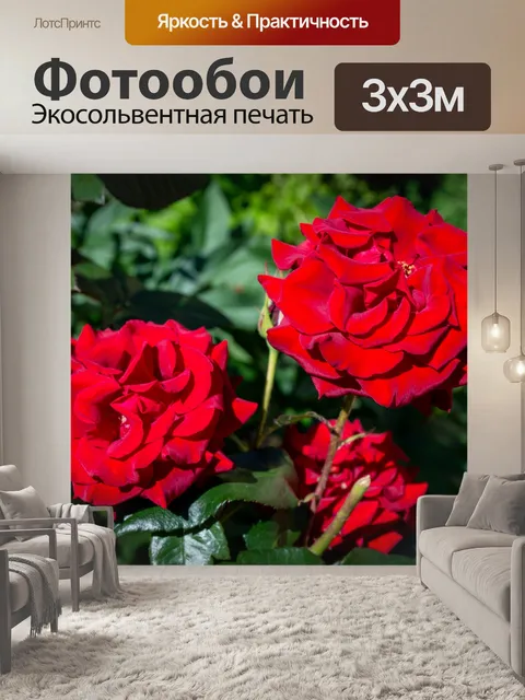 Фотообои Цветы, розы, бутоны, сад