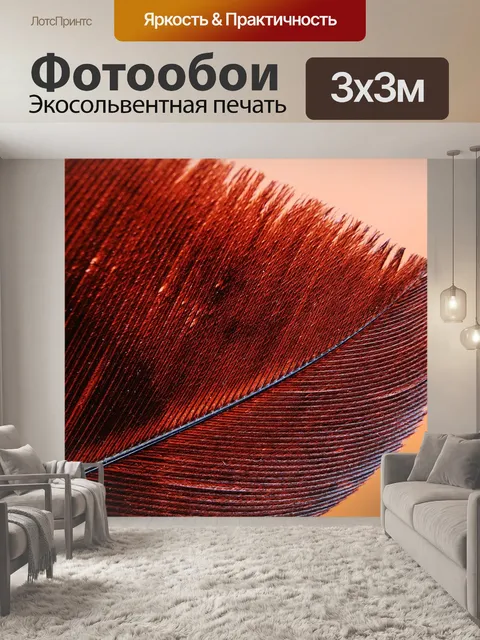 Фотообои Перо