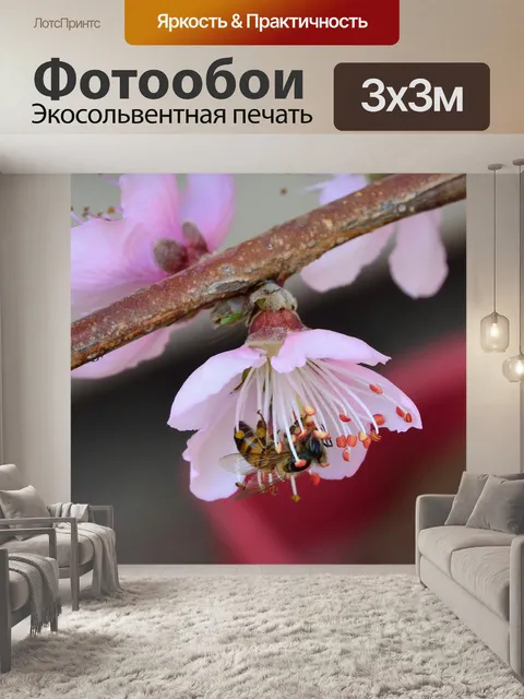 Фотообои Африканец
