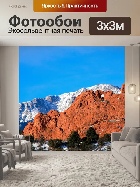 Фотообои Целуя верблюдов