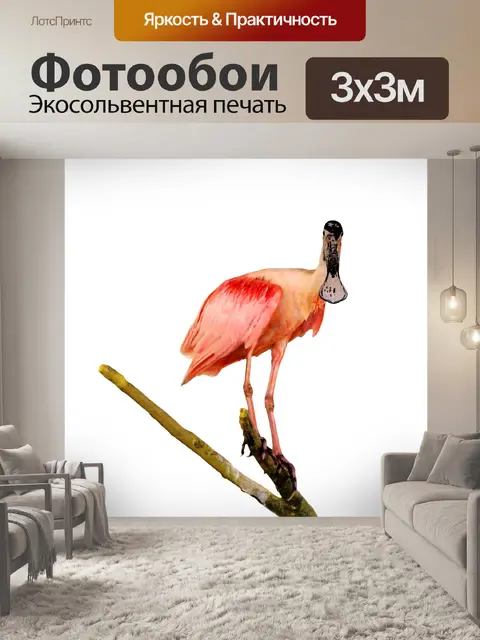 Фотообои Покраска Roseate колпица