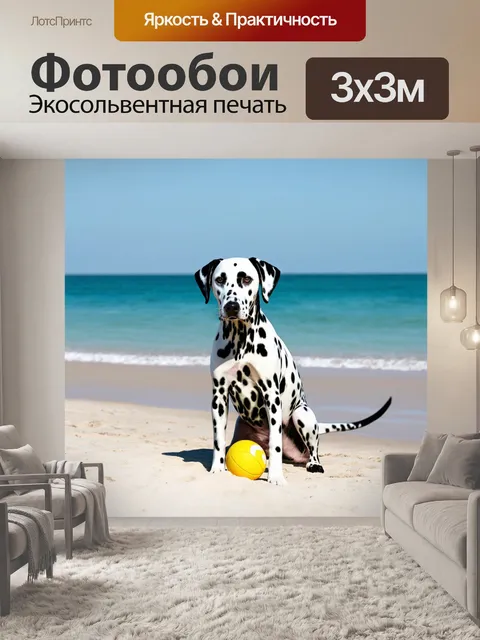 Фотообои далматинец, сидящий на пляже, играющий с мячом, солнце светит, ощущение лета и отдыха