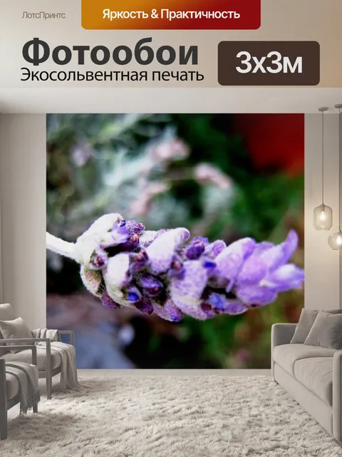 Фотообои Лаванда веточкой