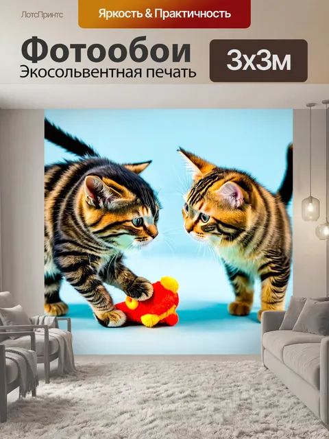 Фотообои две кошки, дерущиеся за игрушку
