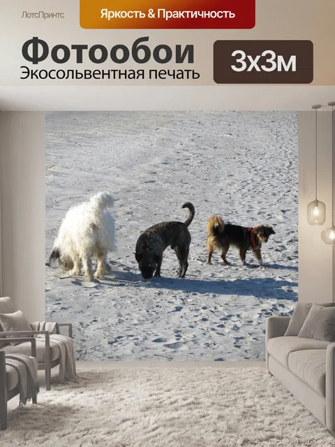 Фотообои Собаки