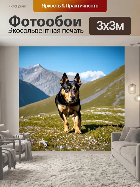 Фотообои овчарка, исследующая горный ландшафт в ясный день