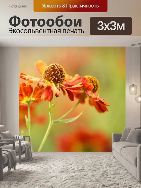 Фотообои оранжевый цветок