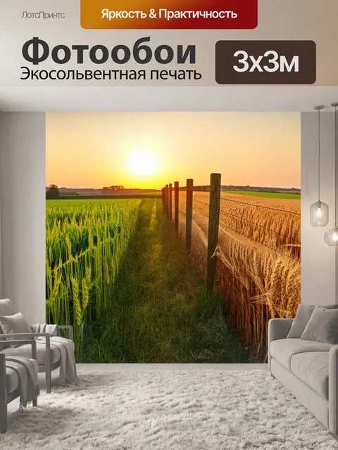 Фотообои забор, разделяющий два пасторальных пейзажа, один с зелеными полями, а другой с золотистыми пшеницами, на…