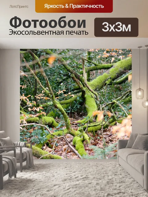 Фотообои Покрытые мхом ветви