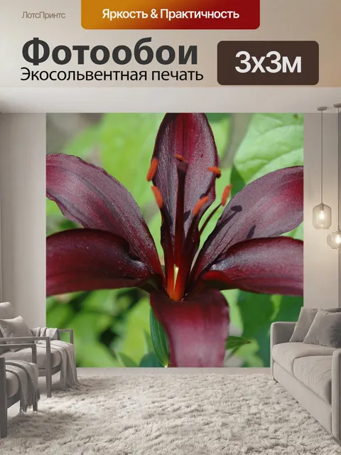 Фотообои Цветы