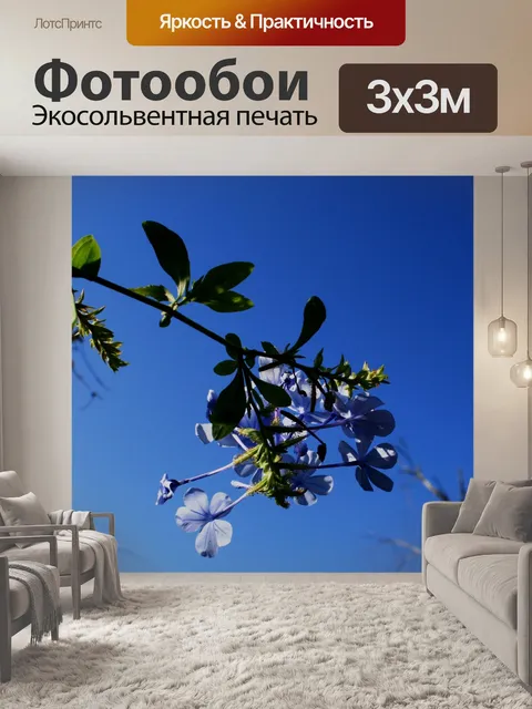 Фотообои Пламбаго на фоне неба