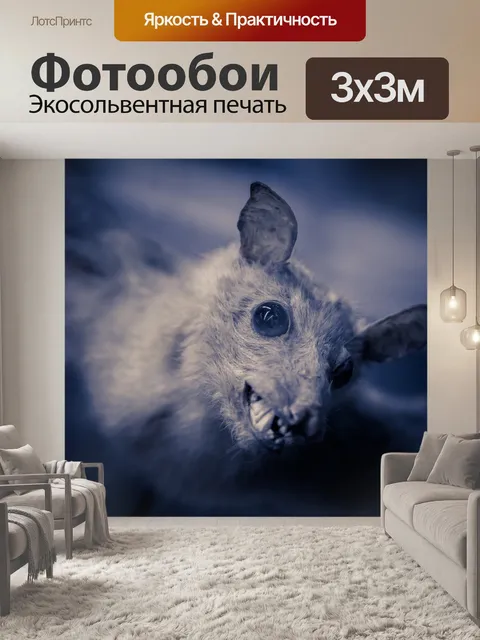 Фотообои жуткая летучая мышь