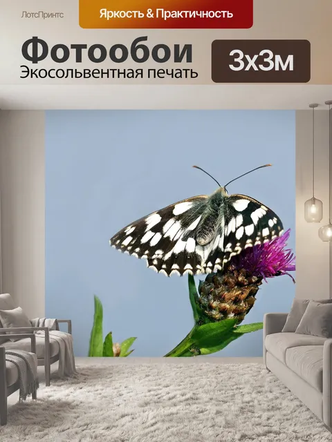 Фотообои Шахматная доска