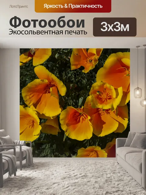 Фотообои Маки полевого цветка