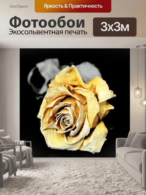 Фотообои Роуз