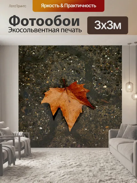 Фотообои Осенний лист