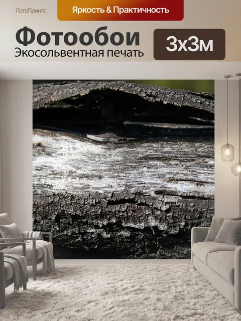 Фотообои разделения коры на мертвой древесине