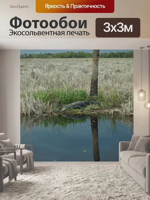 Фотообои Аллигатор
