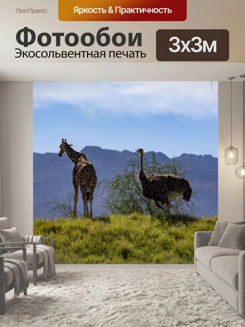 Фотообои жираф и страус