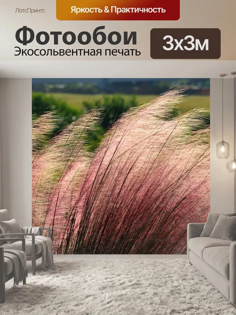Фотообои Розовый Muhly Трава