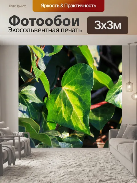 Фотообои Плющ в солнечном свете