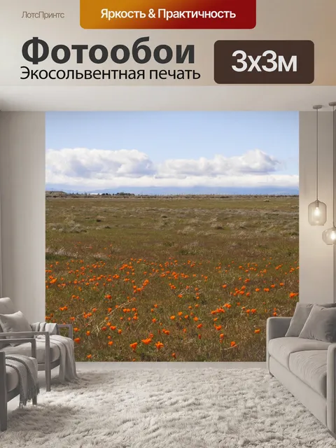 Фотообои поле маков