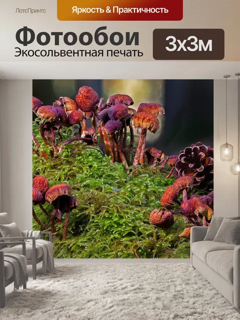 Фотообои Грибы