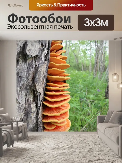 Фотообои Древесный гриб