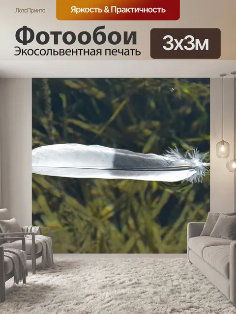 Фотообои Перо