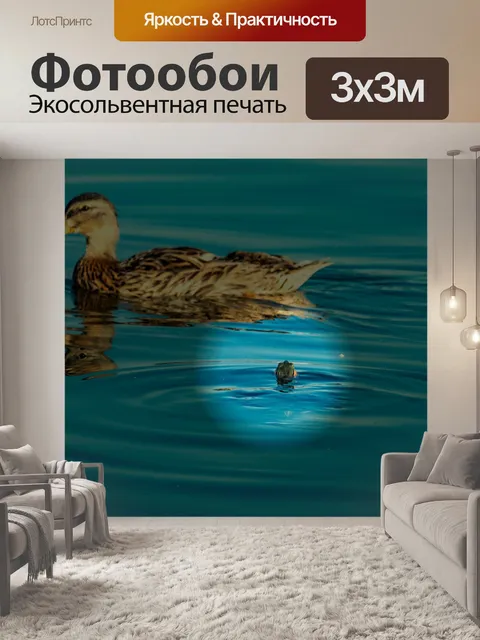 Фотообои Черепаха и утка