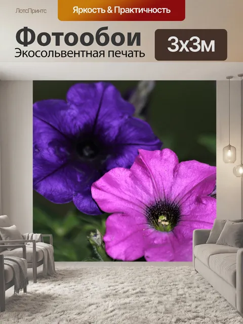 Фотообои Розовые и голубые петунии крупным планом