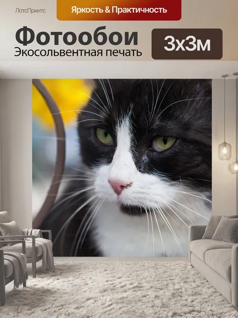 Фотообои Фермерская кошка