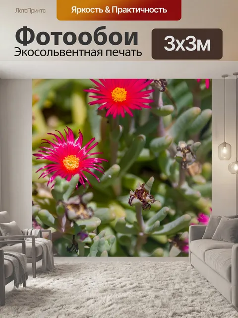 Фотообои розовые средиземноморские цветы