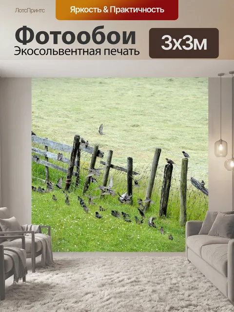 Фотообои Группа