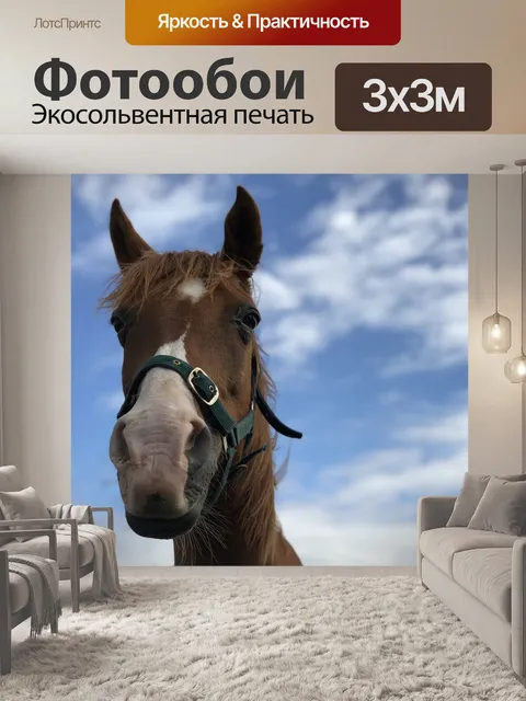 Фотообои Лошадиная голова