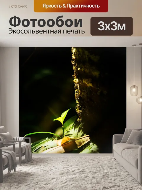 Фотообои Дерево