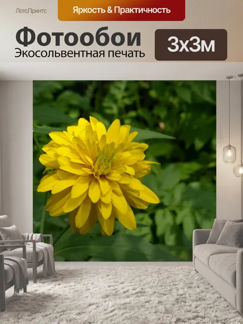 Фотообои Рудбекия