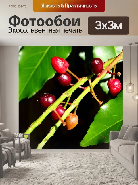 Фотообои Красные ягоды на дереве