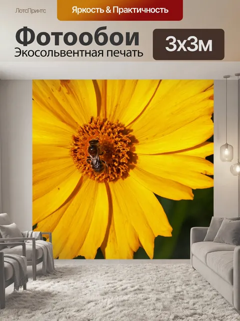 Фотообои пчела сидит в центре ромашки