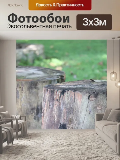 Фотообои Ствол